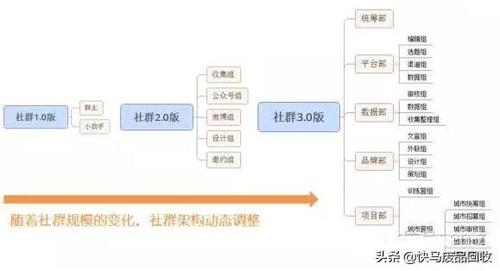 自媒体分类