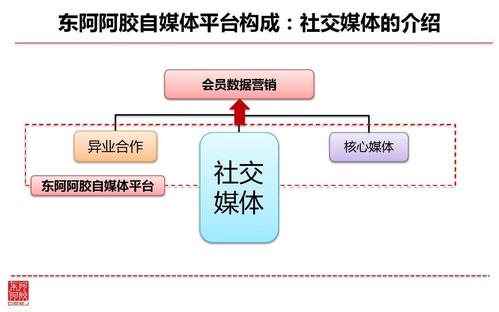 自媒体简介