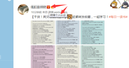 58同城黄v是什么
