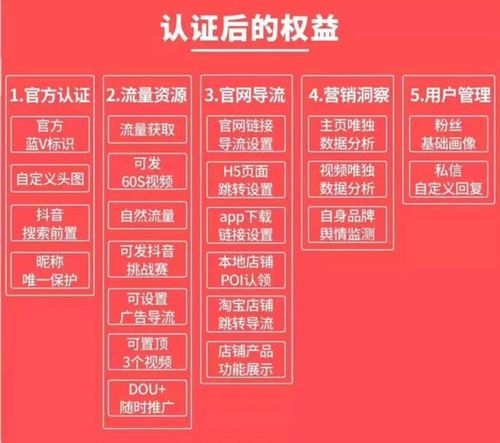 抖音蓝v和黄v是什么意思
