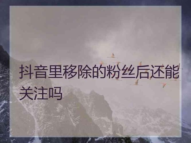 抖音有卖粉丝的吗
