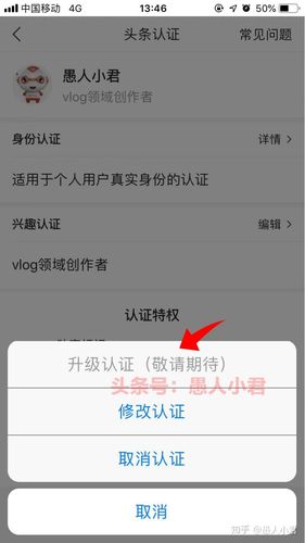 黄v申请条件