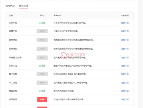 黄v账号是什么