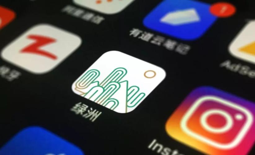 绿洲莫名其妙关注了别人