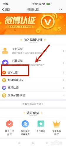 买的阅读量能上金v吗
