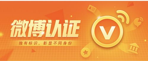 普通人怎么认证微博黄v