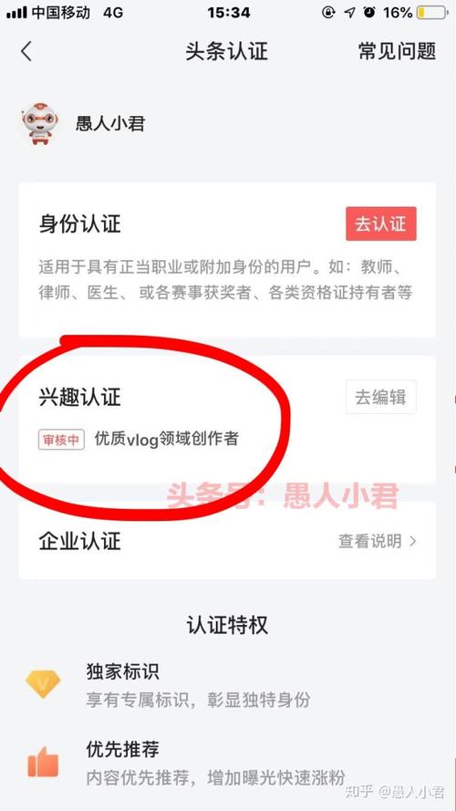 申请黄V什么时候通过