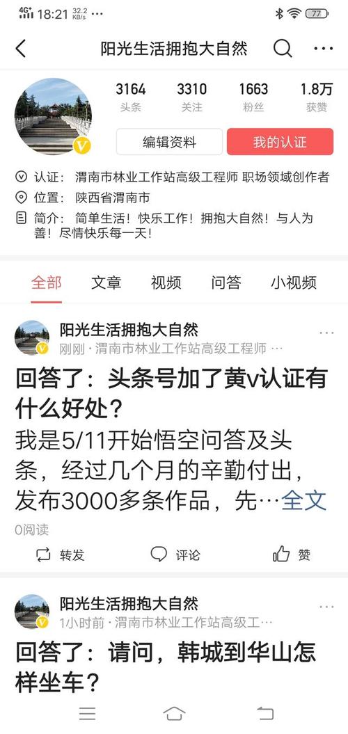 什么叫黄V
