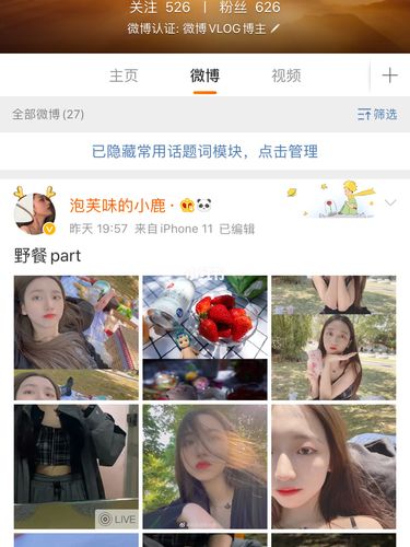 什么是微博黄v