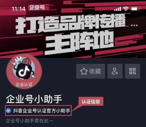 视频号蓝v和黄v的区别