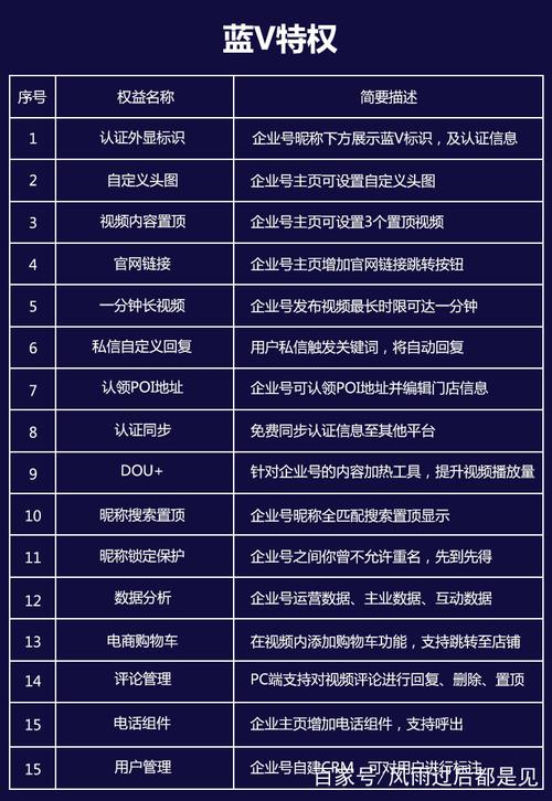 视频号蓝v认证