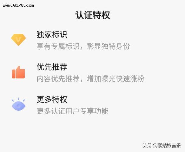 头条黄v是什么