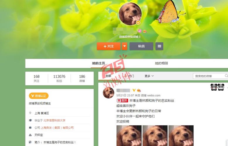 微博黄v号帮忙认证购买平台