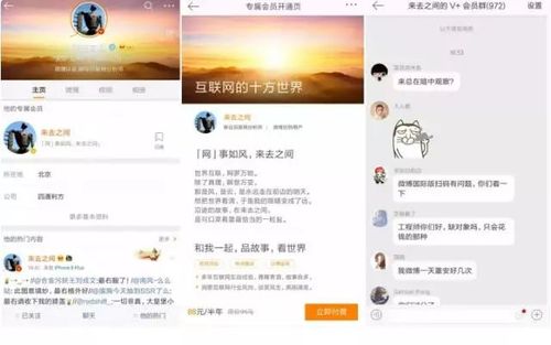 微博黄v认证多少钱
