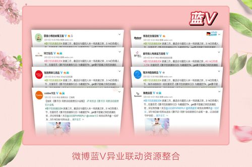 微博蓝v申请条件