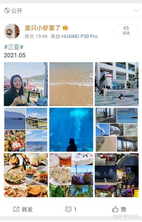 微博有没有什么开车的博主