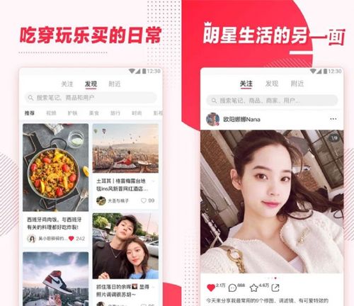 小红书红v和蓝v的区别
