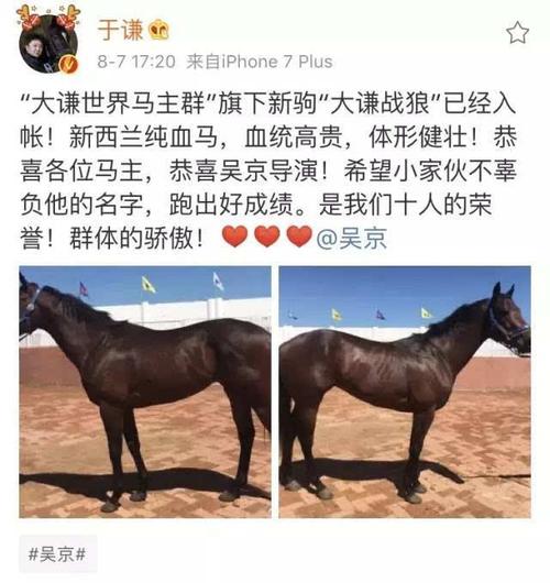 新浪微博秒过认证v