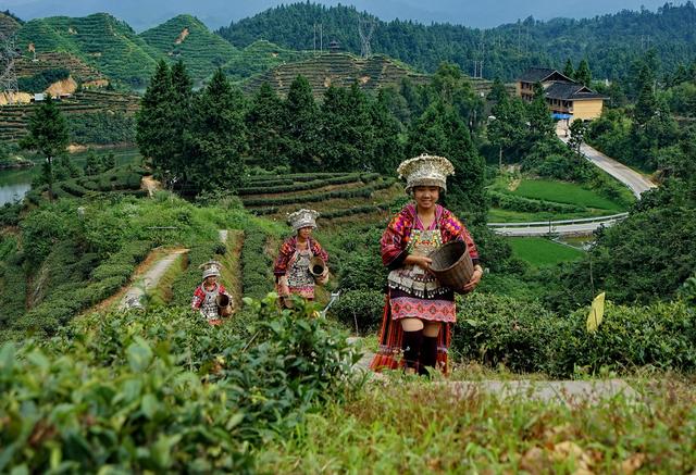 旅游自媒体是什么 旅游自媒体是什么