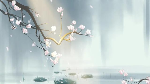 自媒体收入截图 自媒体收入截图