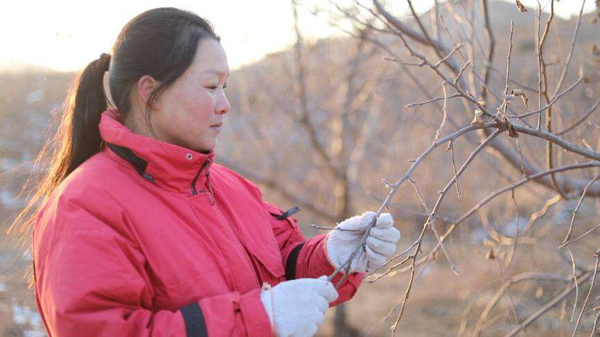 山东农妇自媒体(实地探访山东新媒体村,农妇做自媒体收入破万)