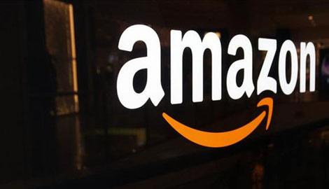 amazon美国网站(amazon美国网站zoology)