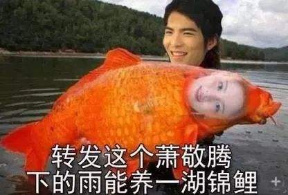锦鲤大王(锦鲤大王是怎么回事)