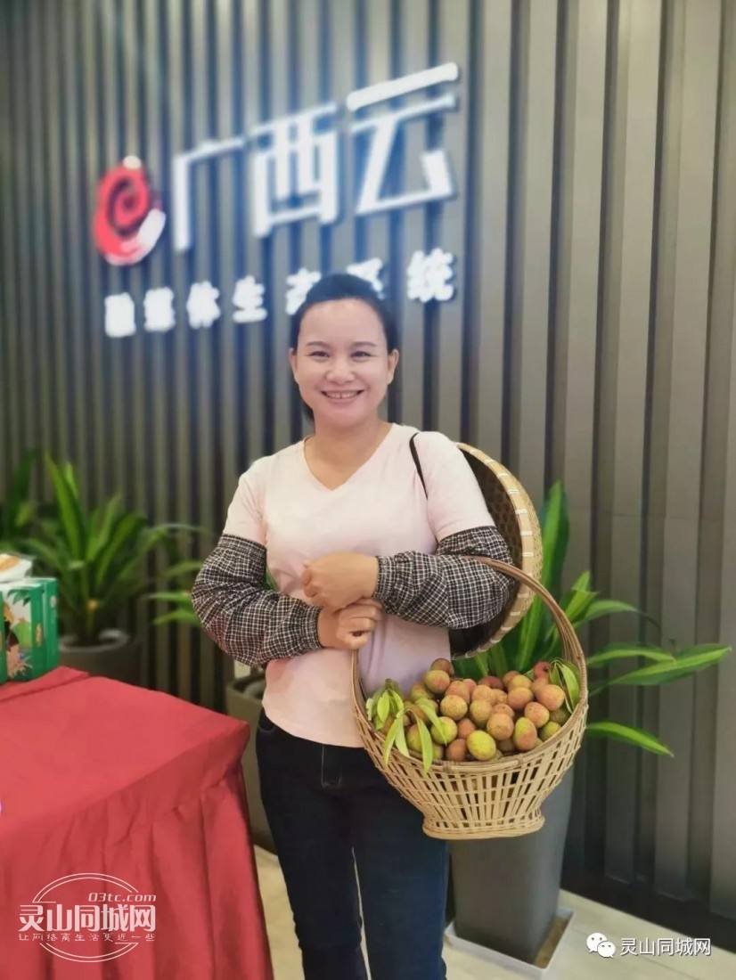巧妇九妹全部视频最近(巧妇九妹在新全部视频)