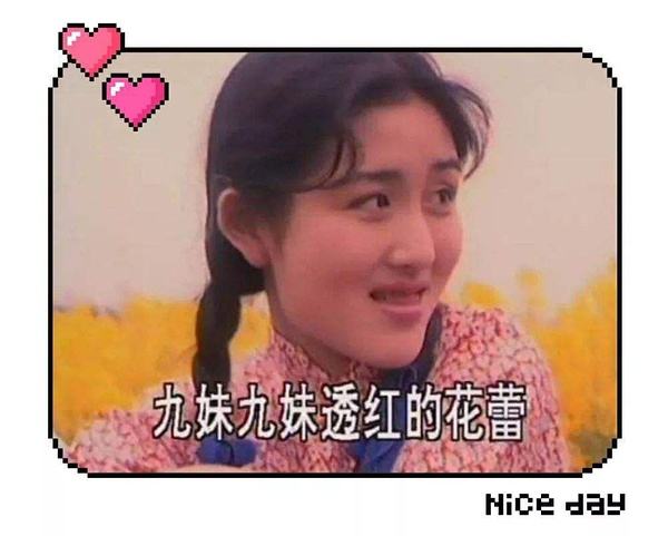 巧妇九妹全部视频最近(巧妇九妹在新全部视频)