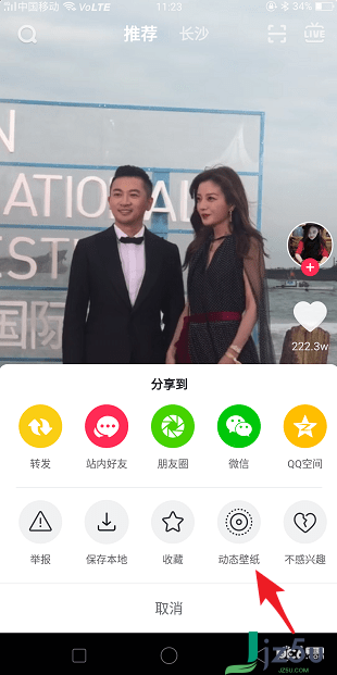 抖音短视频网页版在线(抖音短视频在线观看)