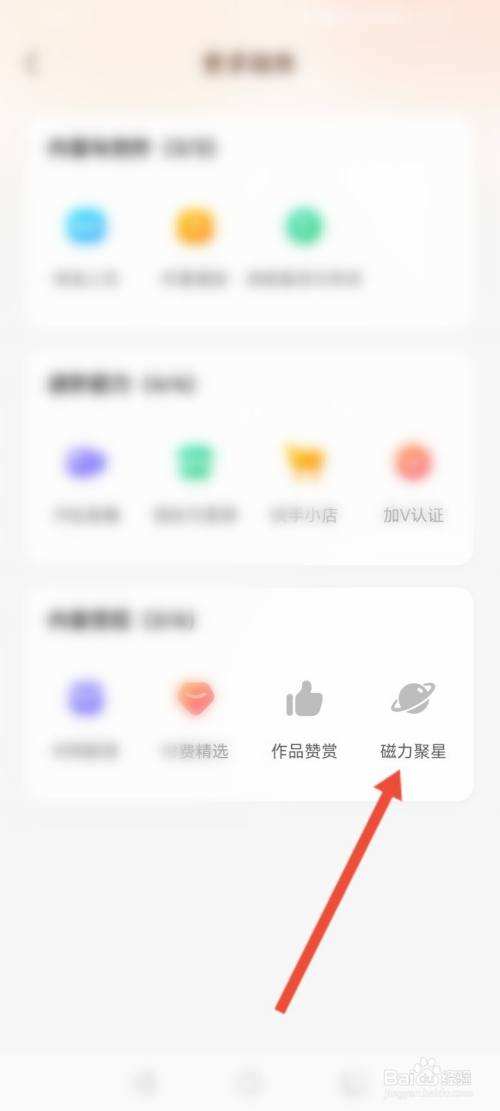 磁力聚星(磁力聚星一天能拿多少钱)