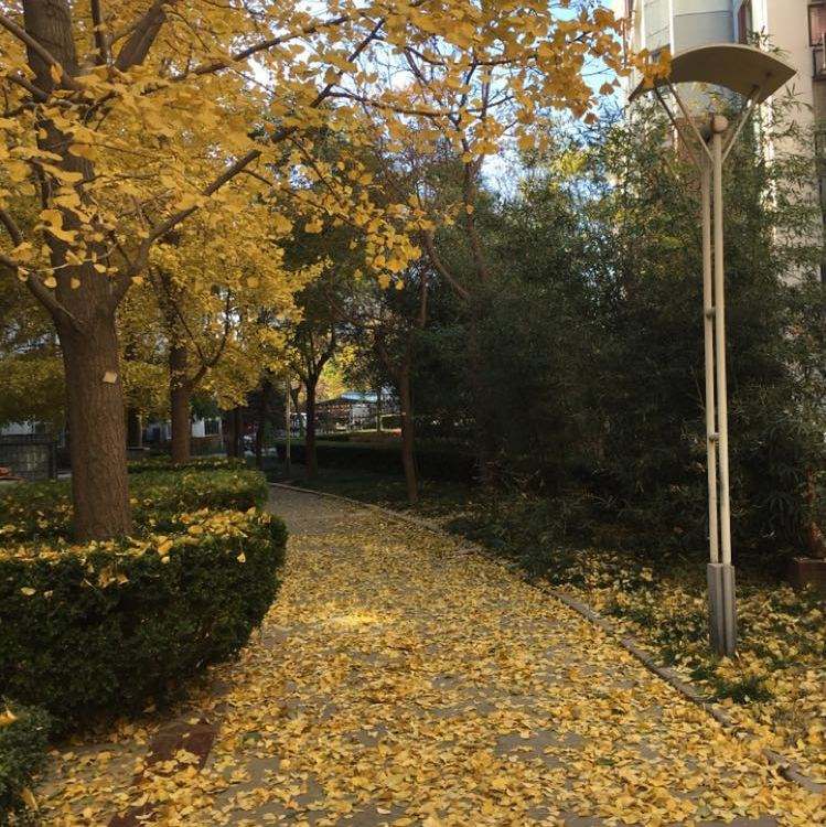 鹰熊汇(鹰熊汇是干嘛的)