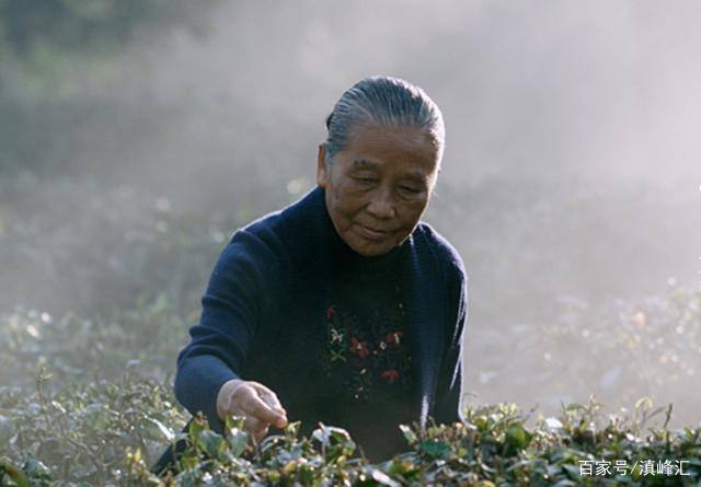 卖茶赚钱吗(卖茶赚钱吗?)