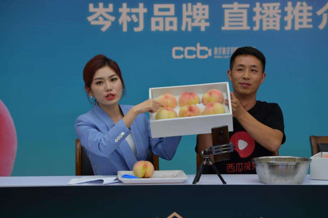 达人带货(达人带货怎么收费)