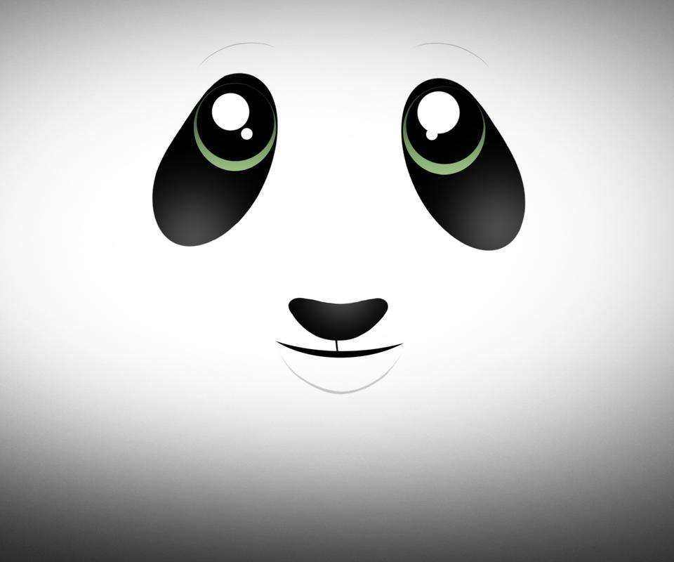 黑眼圈的图片(熊猫没有了黑眼圈的图片)