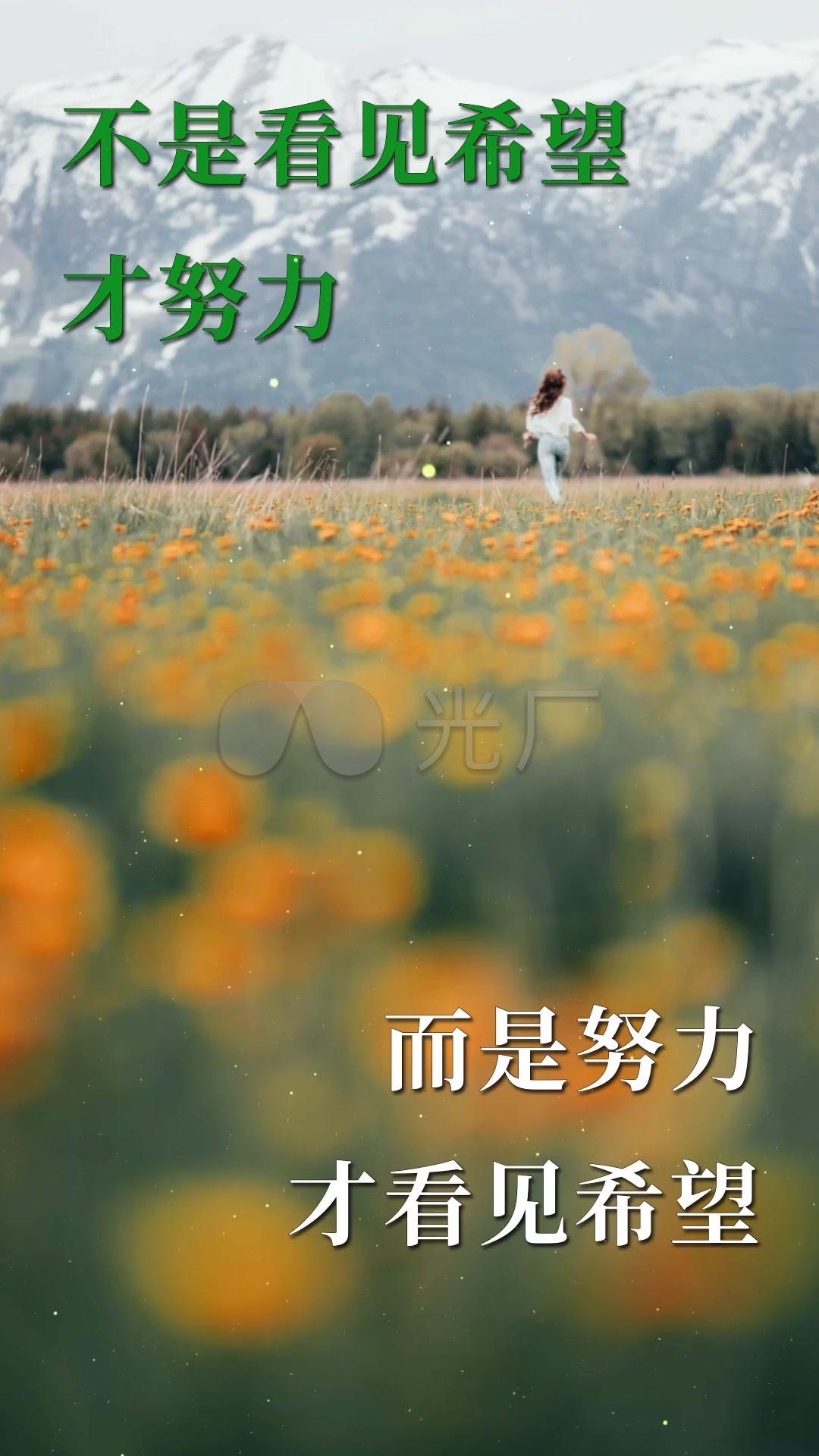 励志视频素材(无水印励志视频素材)