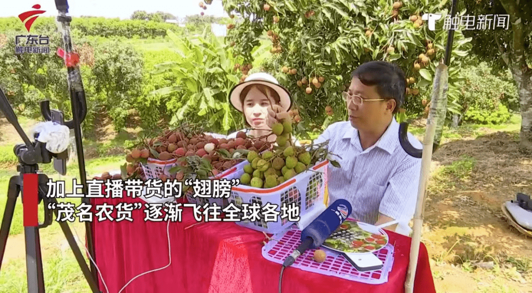 上广东(上广东财经大学要考多少分)