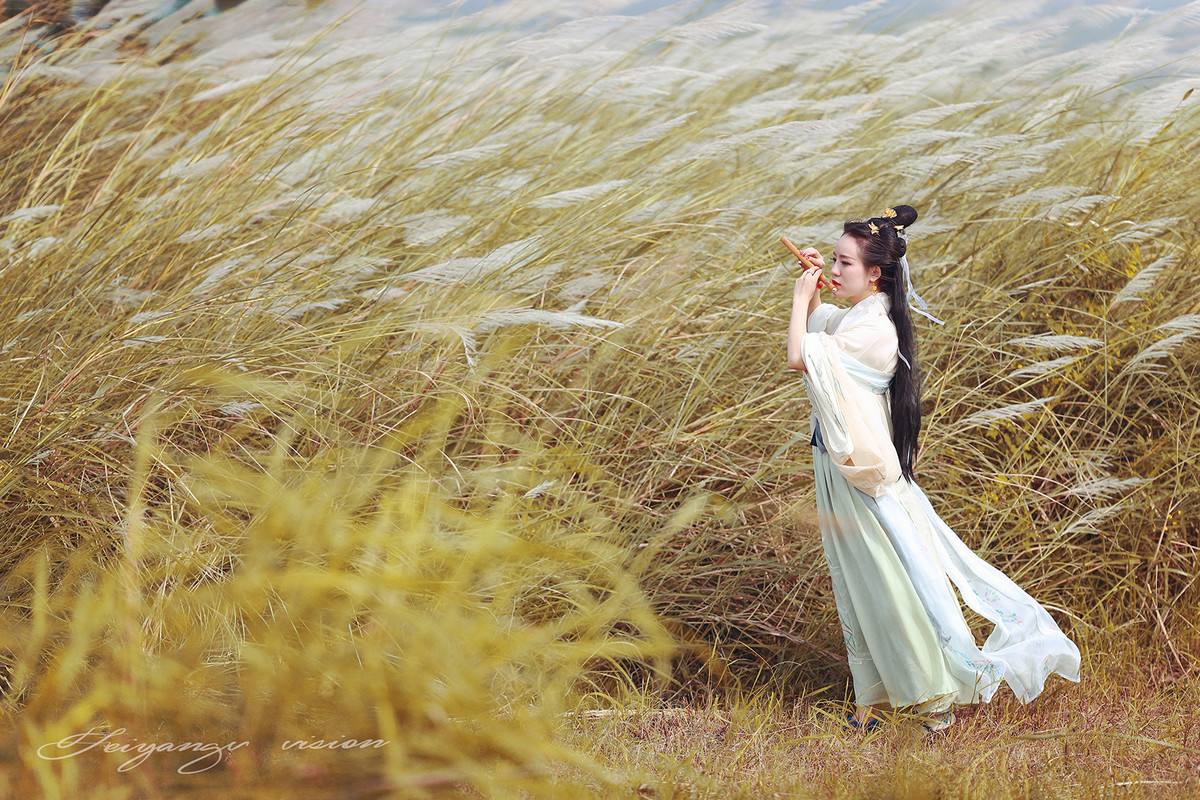 蒹葭苍苍什么意思(苍苍蒹葭是什么意思)