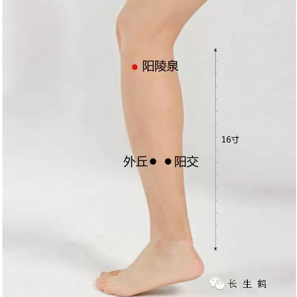 阴陵泉的功效与作用(阴陵泉的功效与作用是什)