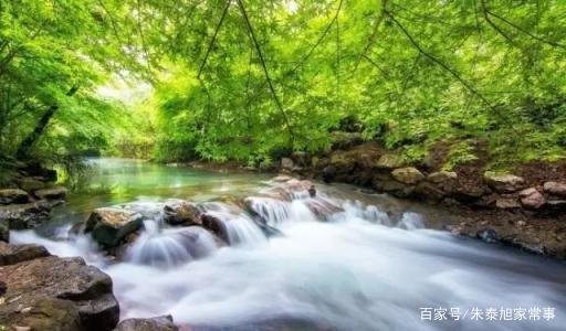 独善其身是什么意思啊(男人独善其身是什么意思啊)