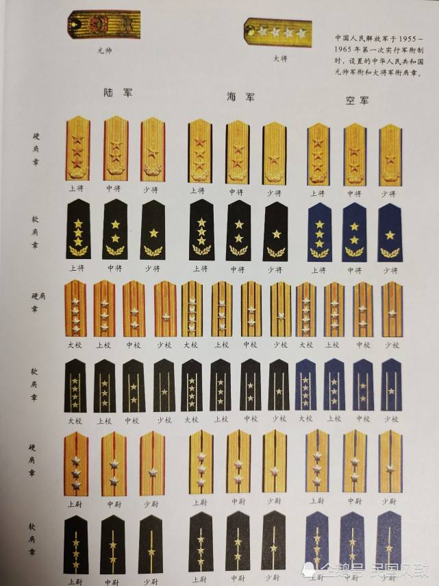 中尉是什么级别的军衔(中尉一般在多少岁)