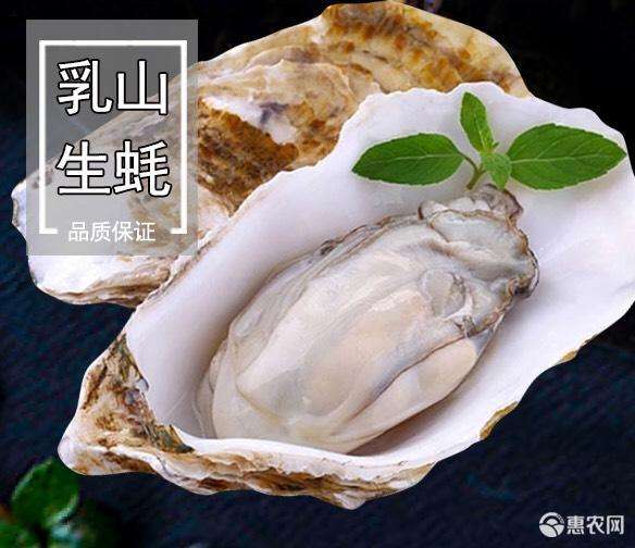 生蚝功效(生蚝功效与作用禁忌详解)
