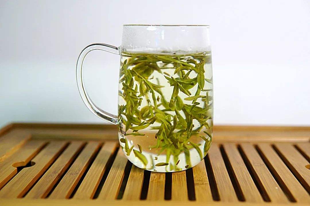 绿茶的意思(绿茶的意思是什么网络用语)