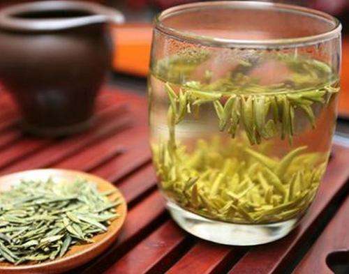 绿茶的意思(绿茶的意思是什么网络用语)