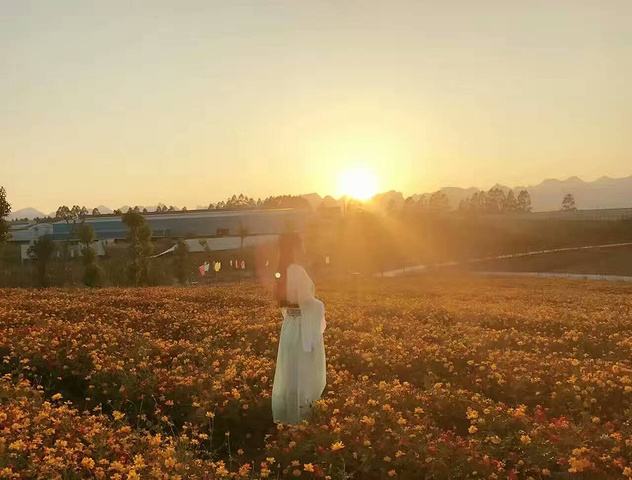 安安静静的意思(安安静静的意思解释)