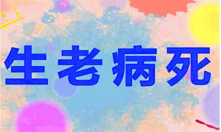 人心向背的意思(人心向背啥意思啊)