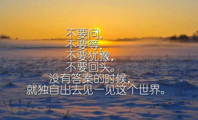 卖货的经典句子(朋友圈卖货的经典句子)