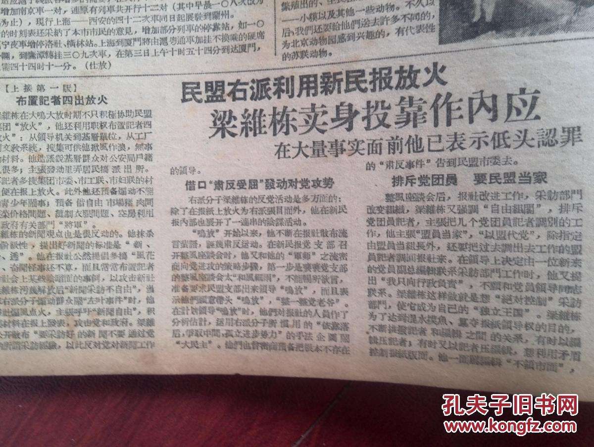 左翼右翼是什么意思(中国左翼右翼是什么意思)
