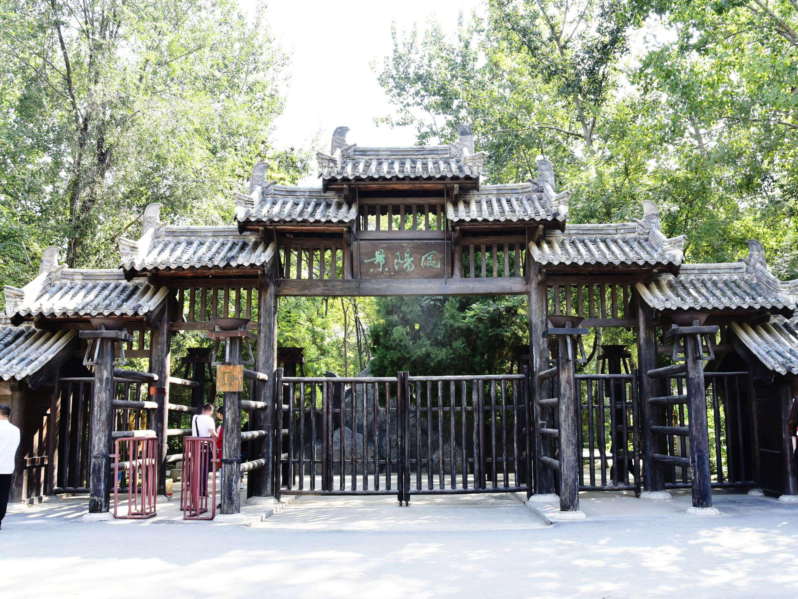 武松打虎在什么地方(武松打虎在什么地方打)