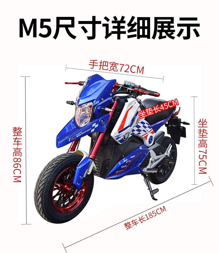 电摩款式大全(电摩款式大全类型)